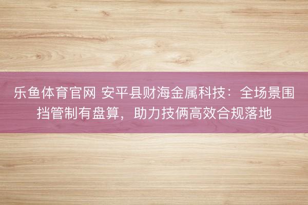 乐鱼体育官网 安平县财海金属科技：全场景围挡管制有盘算，助力技俩高效合规落地